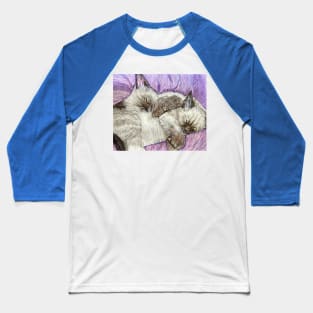 Siamese kittens Baseball T-Shirt